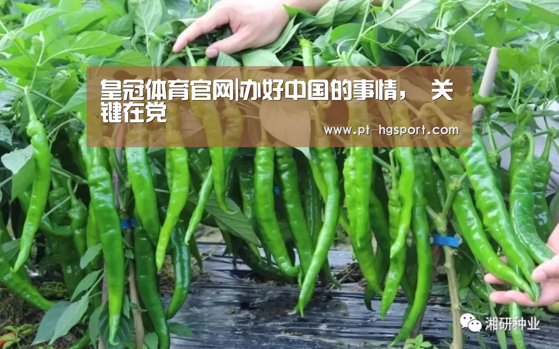 皇冠体育网址