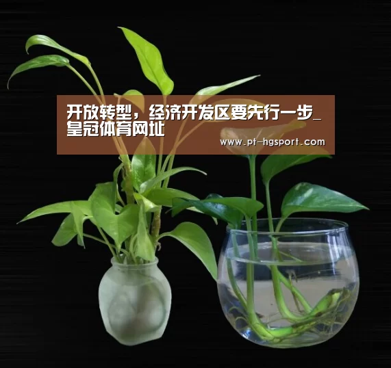 皇冠赛事